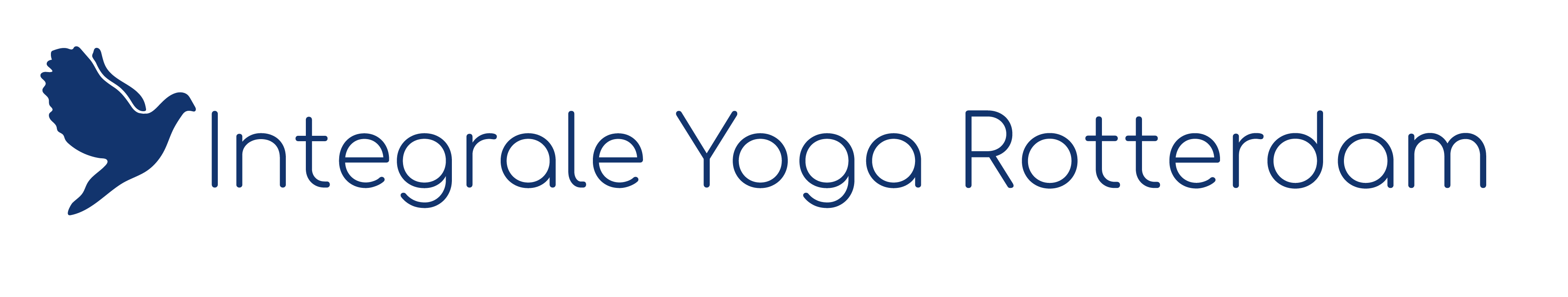Centrum voor Integrale Yoga